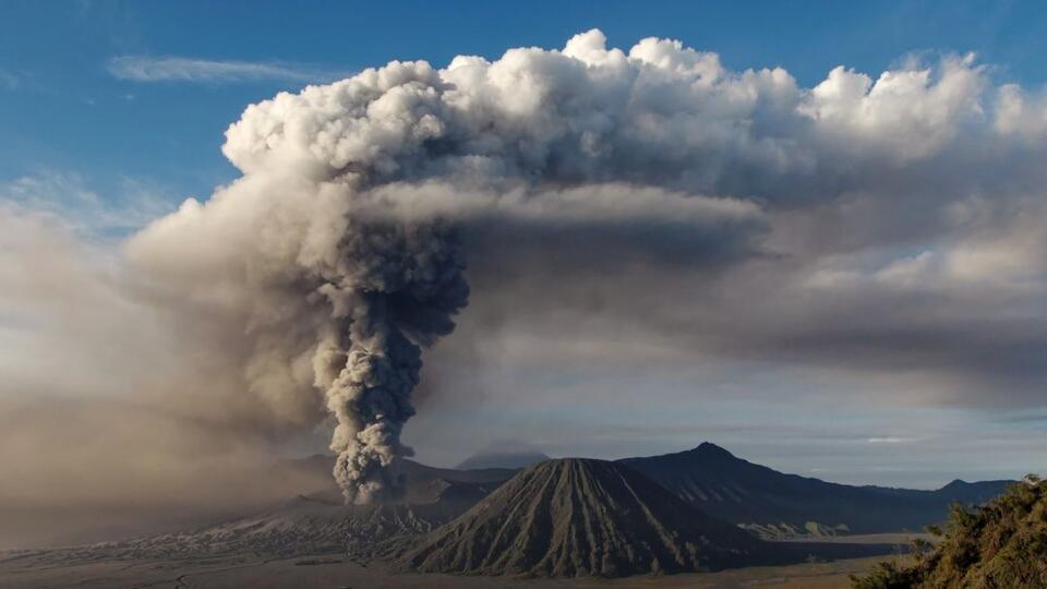 The Truth About Extinction: What Really Wiped Out Earth’s Ancient ...