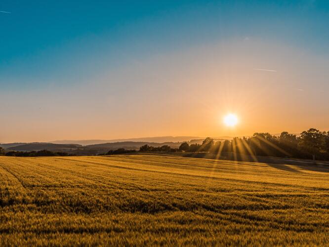 Daily Weather Forecast For Jackson