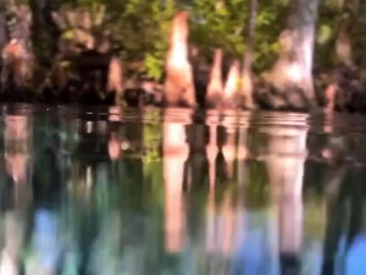 There’s always something very special under the surface! Florida 