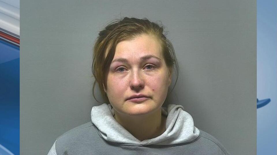 Woman gets prison time for deadly drunk driving crash near Birch Run ...