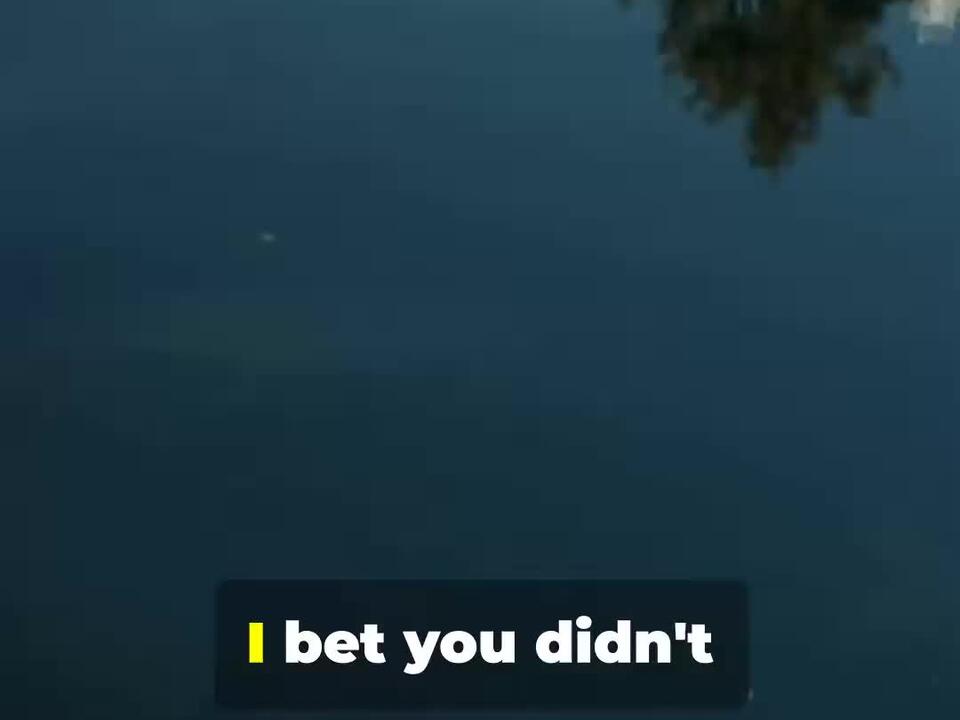 The Shocking Truth About Charlotte NC Taxes