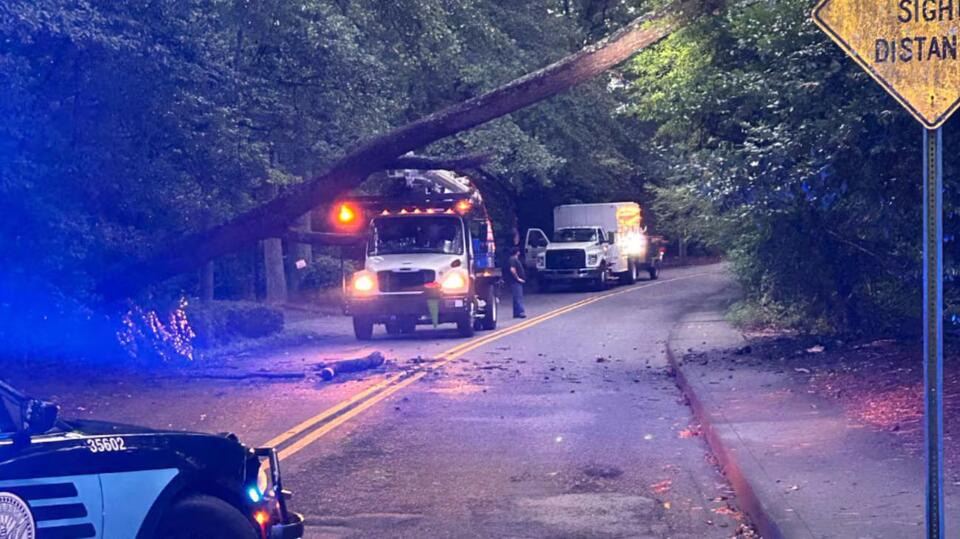 Fallen trees hit power lines, close roads across metro Atlanta