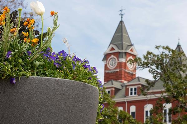 📅 Spring 2027 Auburn registration time tickets: Nov 2–10 - NewsBreak