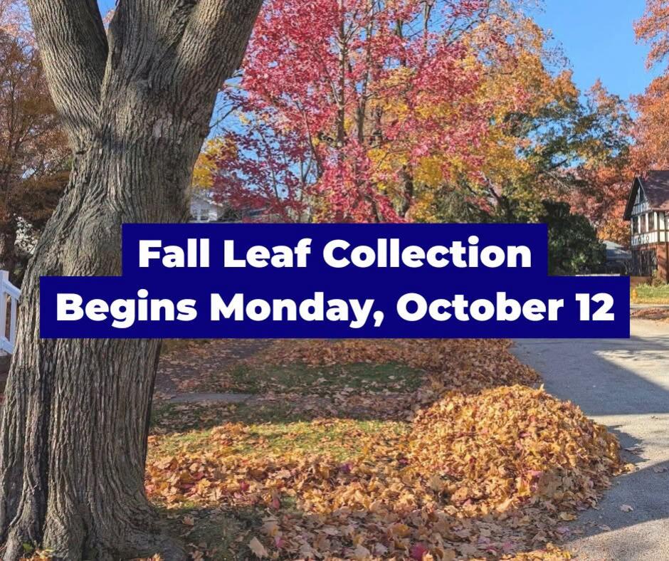 Moline starts fall leaf collection October 12 - NewsBreak