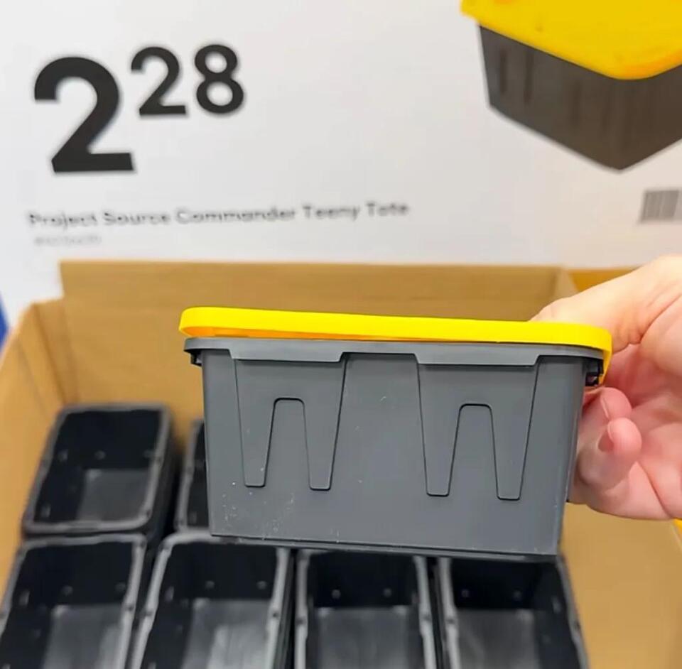 ‘Why Do I Want Like 10?” Lowe’s 2 Teeny Tote