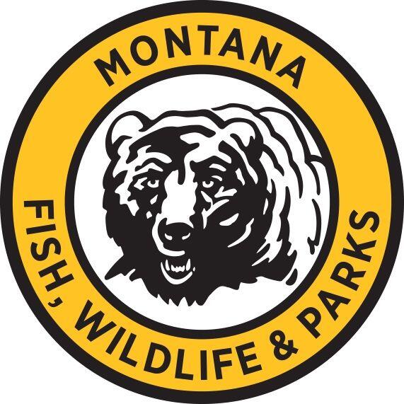 FWP Announces New Regional Fisheries Manager for Region 1 - NewsBreak