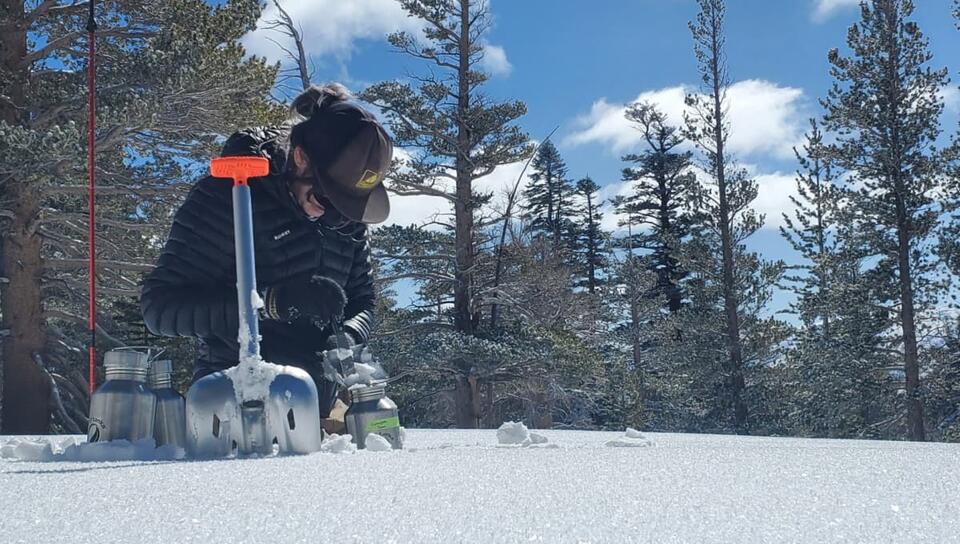 California Snowfall Study Finds Thousands of Plastic Particles in ...