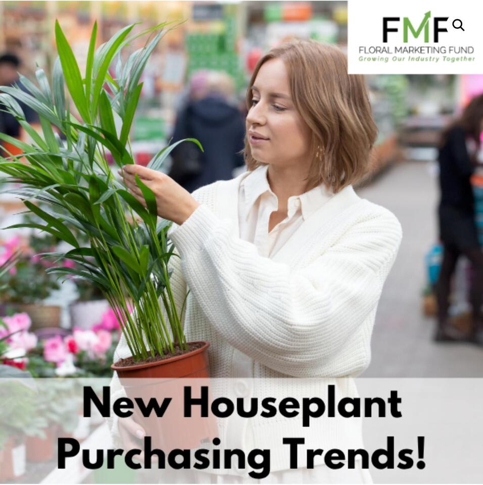 Houseplant purchasing trends revealed in new consumer study - NewsBreak