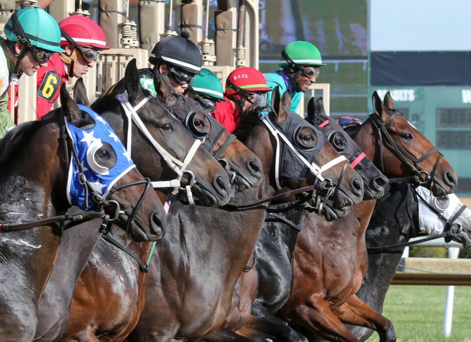 Quiroz Served with Provisional Suspension After Two 'Fair Hill Five' Horses Test Positive for Albuterol