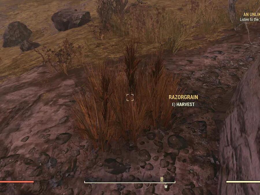 Where to find in Fallout 76