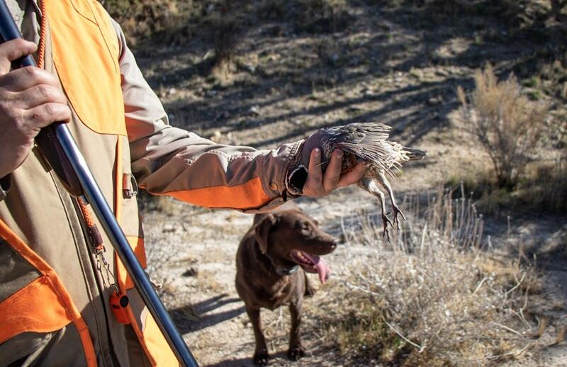 📢 2026–27 California quail and chukar hunting season info - NewsBreak