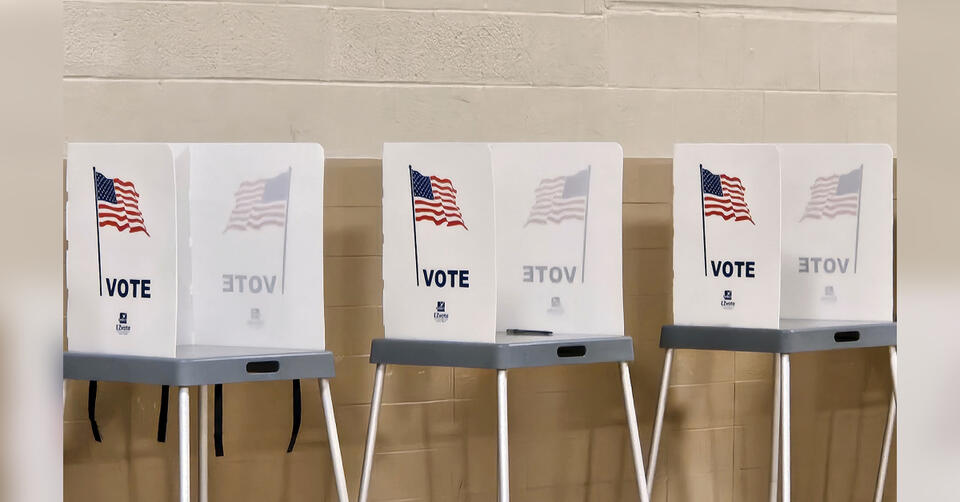 Voters choose candidates to face off in November election