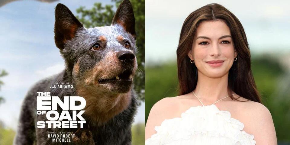 Does the Dog Die in ‘The End of Oak Street’? Anne Hathaway Assures ...