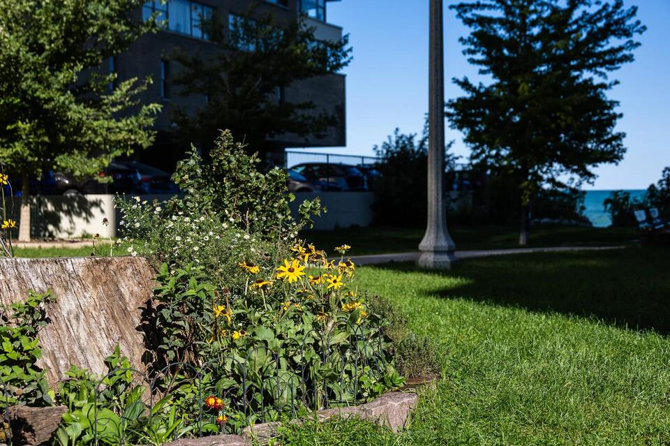 Small Lakefront Park Could Be Named Edgewater Prairie Park To Honor ...