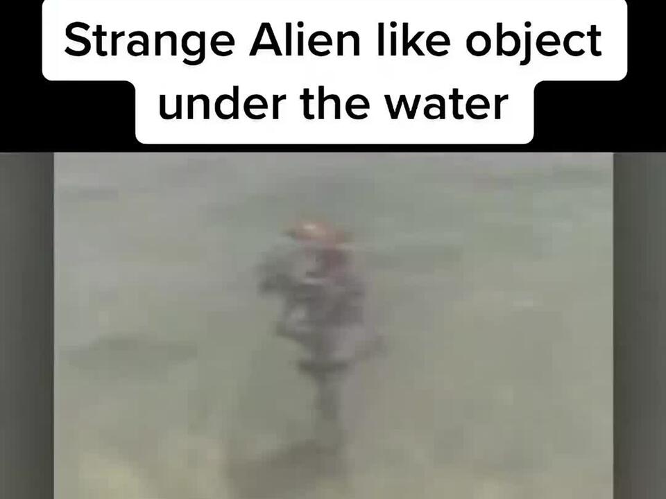 Strange alien like object under the surface of the water # ...