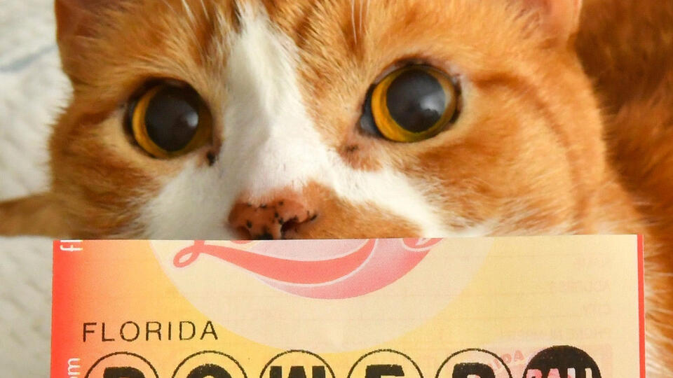 Powerball jackpot hits $687 million. When's the drawing? - NewsBreak