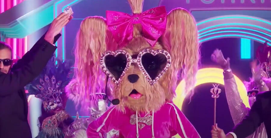 ‘The Masked Singer’: Who Is Yorkie? - NewsBreak
