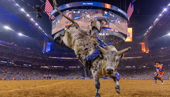Dates Announced for 2027 Houston Livestock Show and Rodeo - NewsBreak