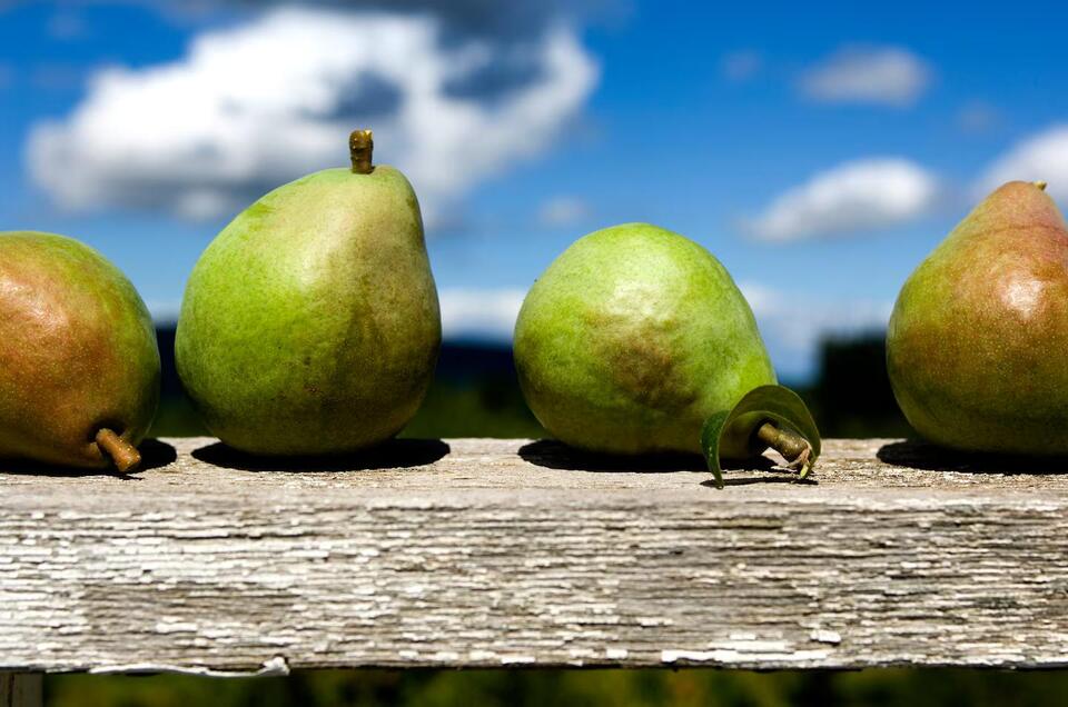 Pears, thundereggs and marionberry pie: Oregon’s 20 surprising state ...