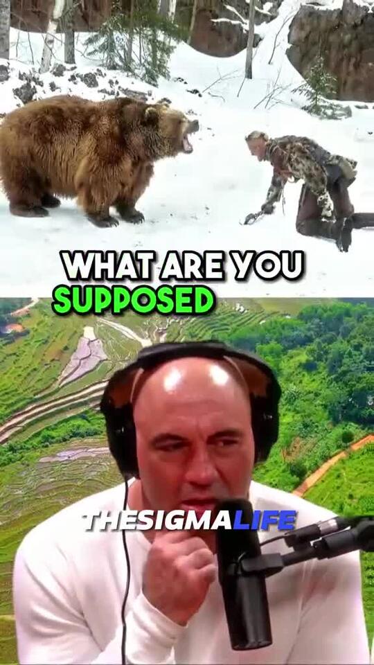 How to SU#ndwoodartRVIVE a GRIZZLY BEAR Attack #bear #bears # ...