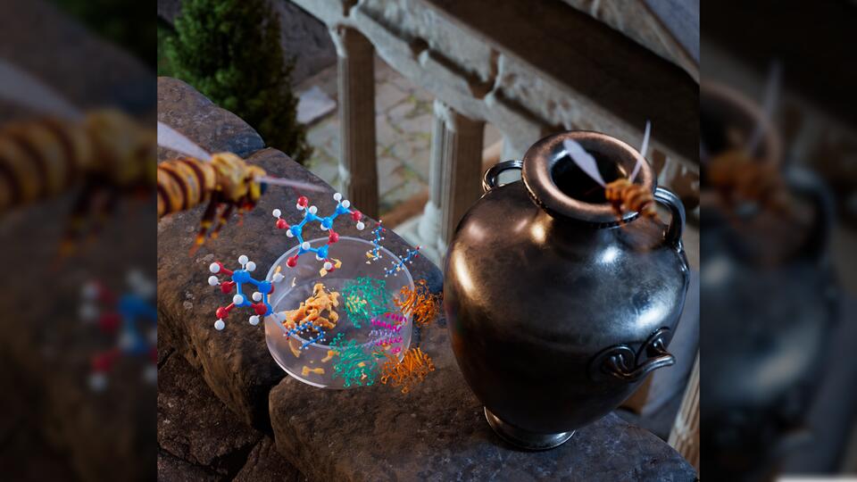 Sticky goo in 2,500-year-old bronze jars finally identified, settling ...