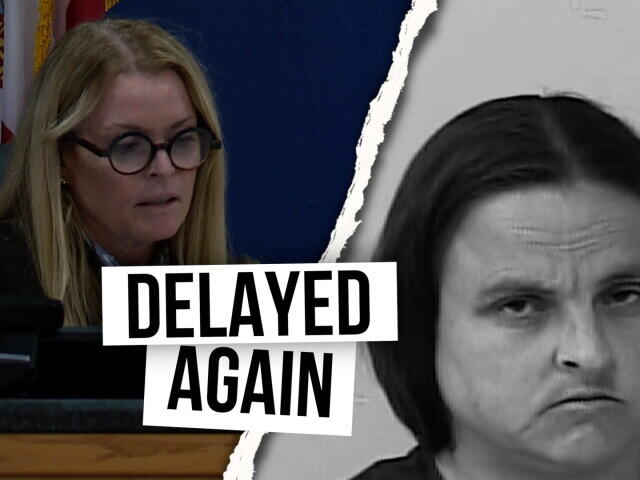 Dog trainer's trial delayed until at least 2027