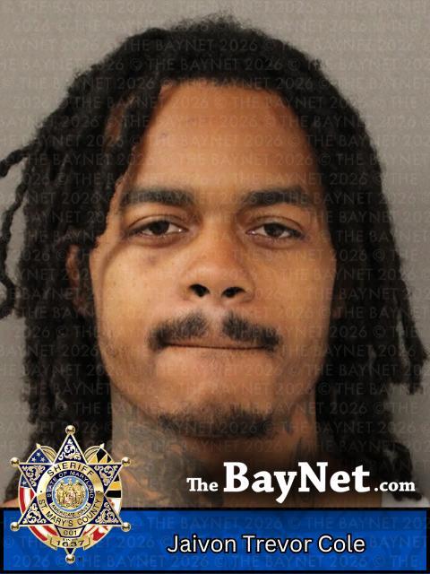 Hospital Fight Leaves Security Guard Unconscious, Waldorf Man Facing ...