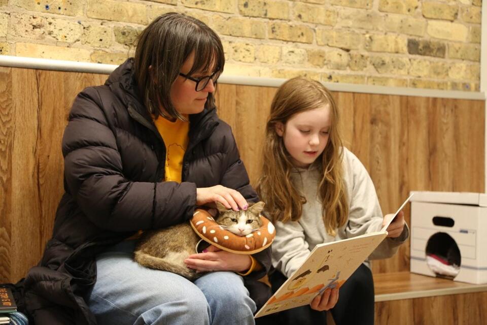 Evanston Public Library hosts ‘Read to Cats’ event at Paws and Claws ...