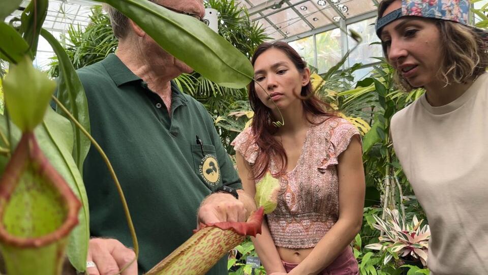 📅 Fall history events & $25 docent course at Foster Garden - NewsBreak
