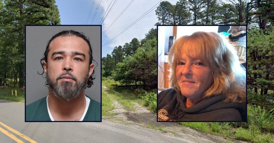 Son stabbed mother to death and then left her body in the woods, police ...