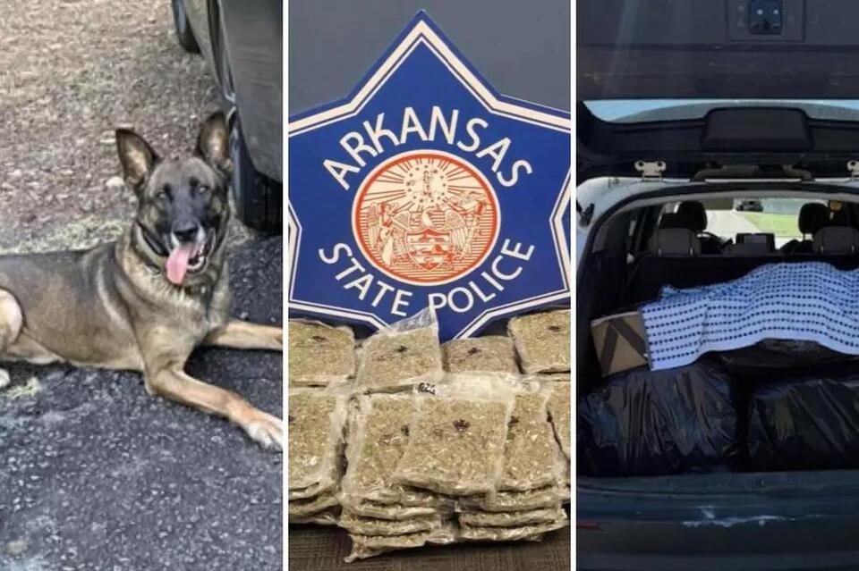160+ Pounds of Marijuana Seized in Arkansas State Police Traffic Stops ...