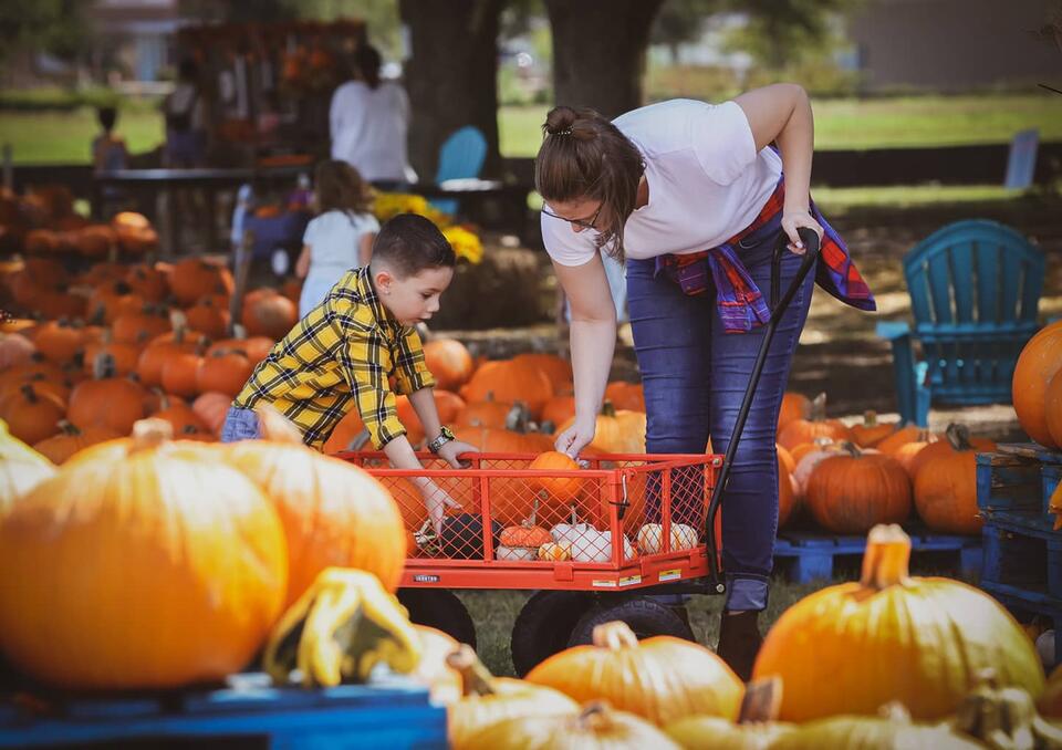 Pumpkin Patches Near Katy and Fulshear in Fall 2026: Farms, Churches ...