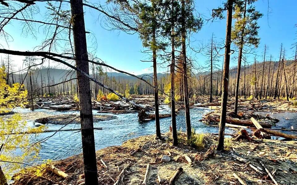 Holiday Farm Fire Lawsuit Update: Settlement Talks Begin as New ...