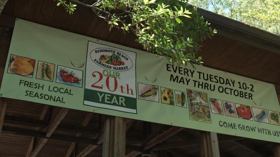 Dangerous trees prompt late Rehoboth Beach Farmers’ Market cancellation