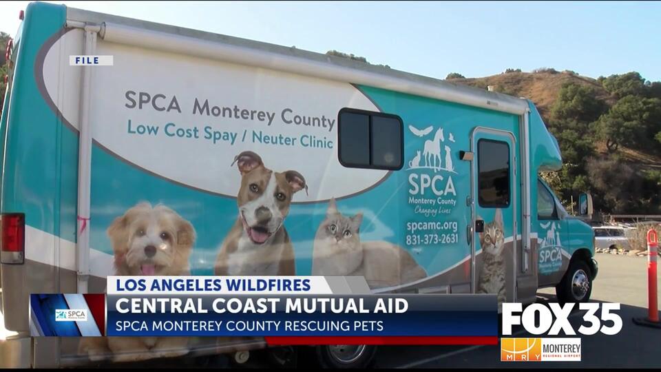 SPCA Monterey County disaster response team heads to Los Angeles for ...