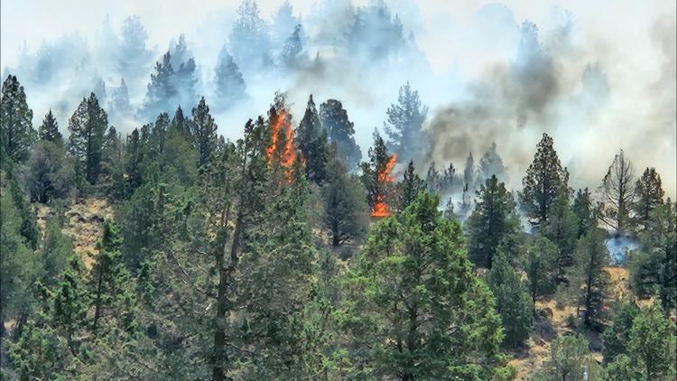 Cram Fire in central Oregon grows over 40,000 acres - NewsBreak