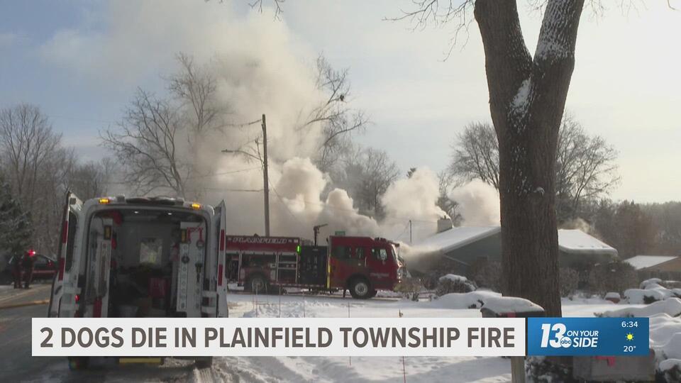 Plainfield Twp. Fire Chief: 2 dogs dead, home 'total loss' after fire ...