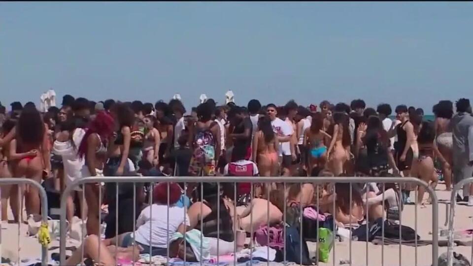 Spring break arrests in Florida - NewsBreak