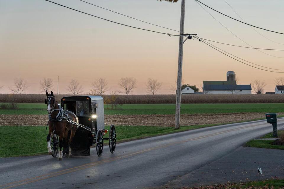 Dad, 3-year-old remain in coma after crash into horse and buggy that ...