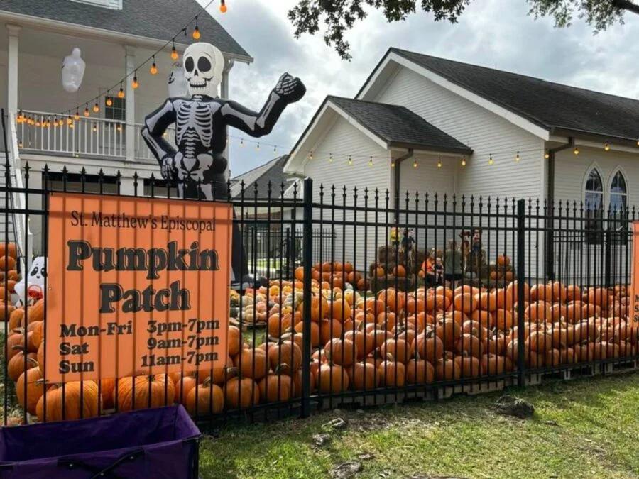 St. Matthew’s new Pumpkin Patch brings fall fun to the heart of Houma ...