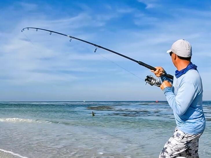 Surf Fishing Tampa Bay Florida Fish On NewsBreak Original