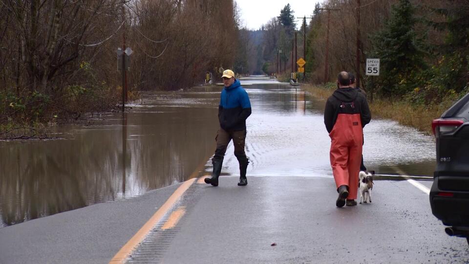 Snoqualmie River floods valley, cuts off Carnation and Duvall - NewsBreak