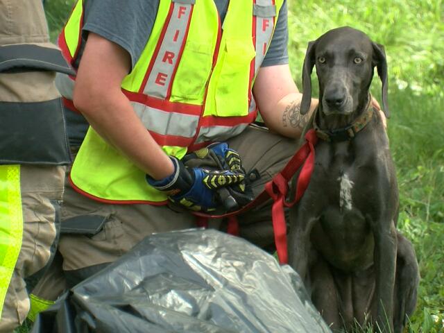 Dousman woman ran illegal kennel before fire killed 21 animals, village says