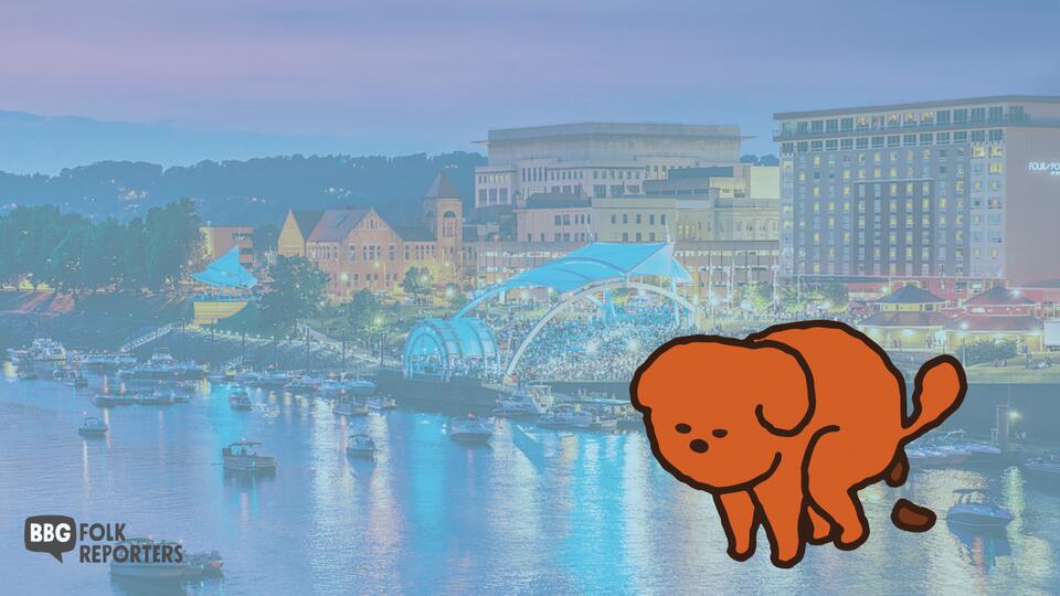 Debate over dog poop dominates Charleston City Council discussion ...