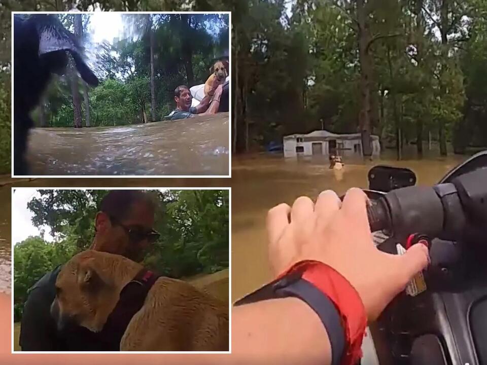 Video shows Houston police officer rescuing Texas man, 3 dogs from ...