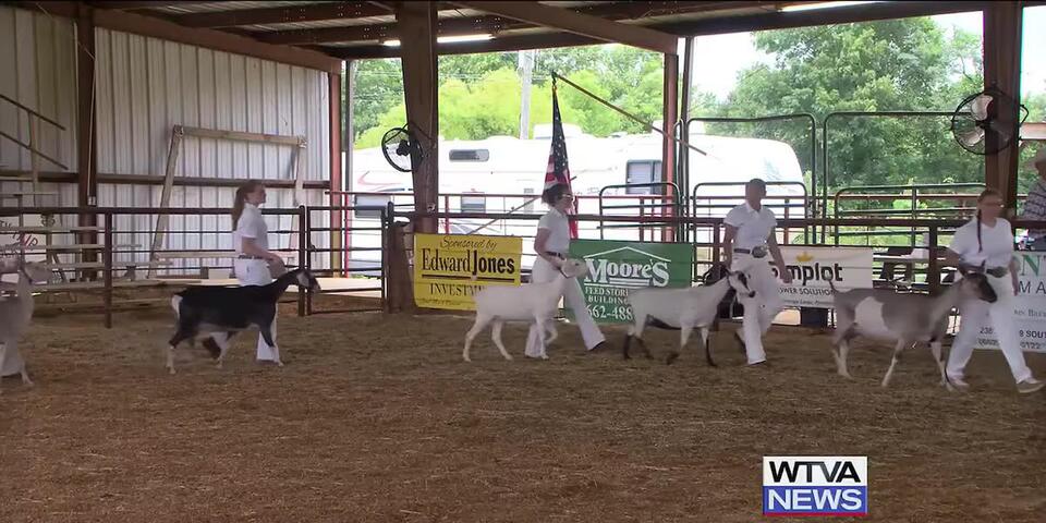 Pontotoc County Fair brings excitement to community