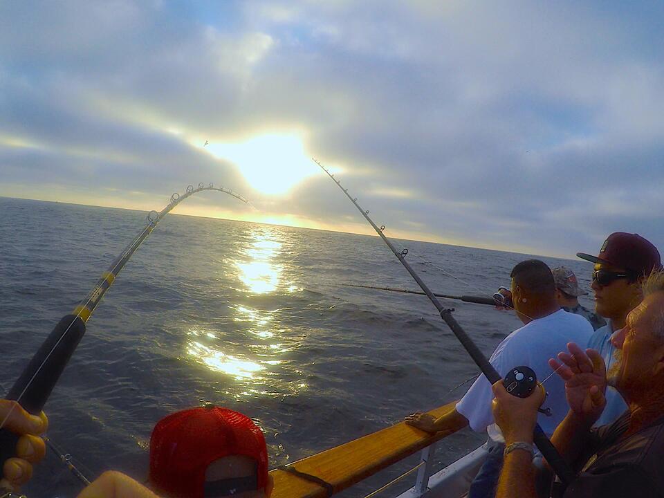 Yellowfin Tuna Fishing on California Sportfishing Boat Ocean Odyssey