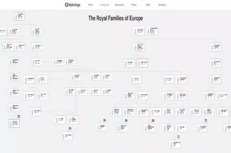 Full list of 35 surnames that could mean you're related to the Royal ...
