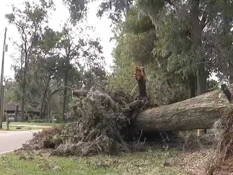 Marion County officials assist with hurricane debris cleanup