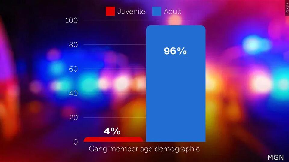 CSPD identifies more than 100 gangs in Colorado Springs - NewsBreak